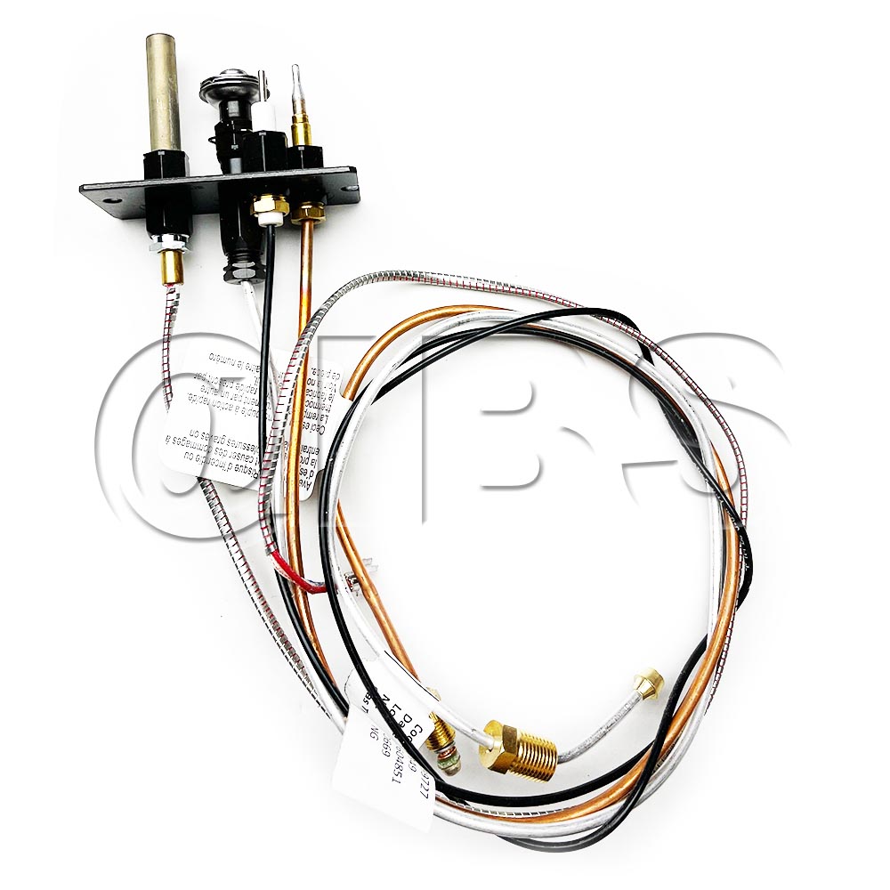 68562MON Pilot Assembly Ng