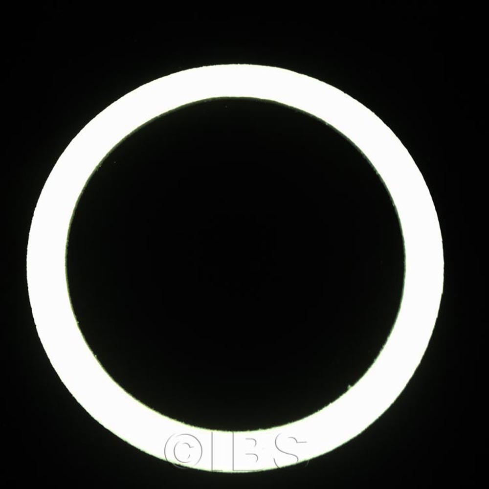 57058MON Gskt He Door