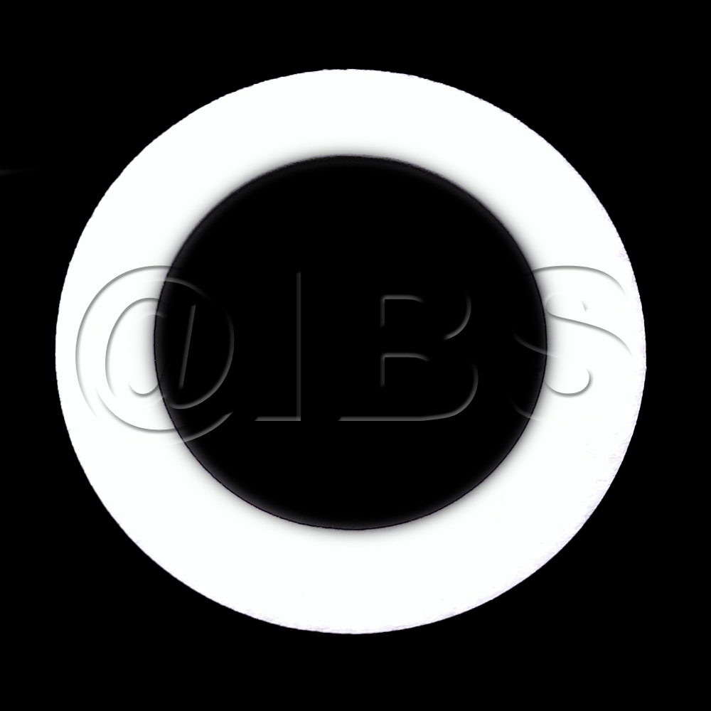 46225MON Comb Blower Gasket